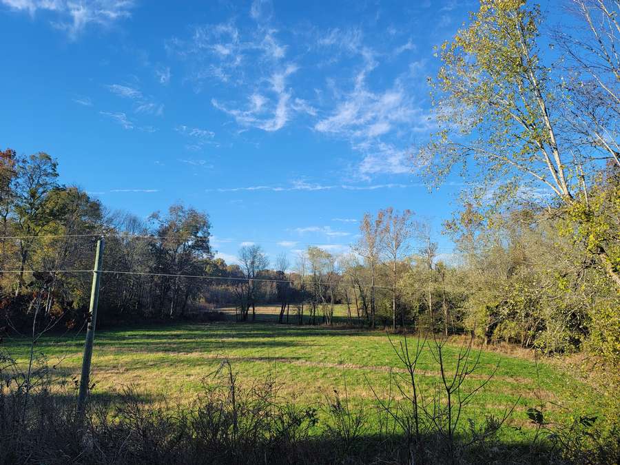 Field Lower West of Creek 1.jpg
